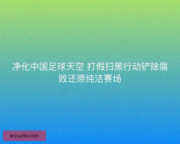 净化中国足球天空 打假扫黑行动铲除腐败还原纯洁赛场